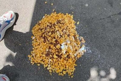 Police warn dog owners after ‘poison’ mixed with cereal