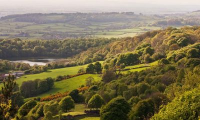 The Paper Lantern by Will Burns audiobook review – a compelling contemplation of country life