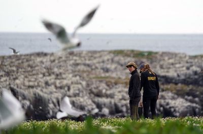 Bird flu closes the Farne Islands to visitors