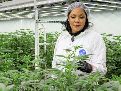 Meet Dr. Chanda Macias, Scientist, Researcher And Marijuana Pioneer At Benzinga Cannabis Capital Conference In September