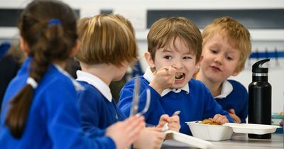 How much school meals cost in every part of Wales and the free food lottery depending where you live