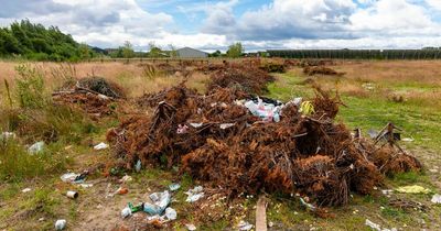 Councillors fear businesses might leave Food and Drink Park if issues are not resolved