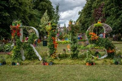 RHS Hampton Court Palace Festival: the must-see gardens and nurseries at this year’s flower show