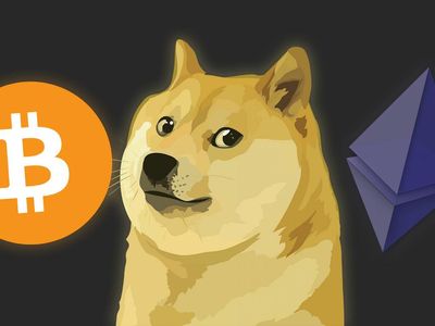 If You Invested $1,000 In Bitcoin, Dogecoin And Ethereum On Jan. 1, Here's How Much You Lost In 2022 So Far