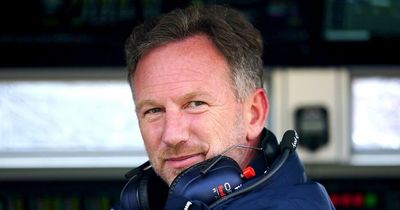 Christian Horner says Red Bull didn't need to respond to Piquet's Lewis Hamilton slur