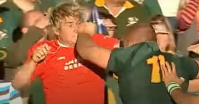 When Richard Hibbard wrestled and punched two Springboks props to earn Warren Gatland's respect