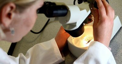 Prostate cancer 'could be prevented by eating yoghurt enriched with good bacteria'