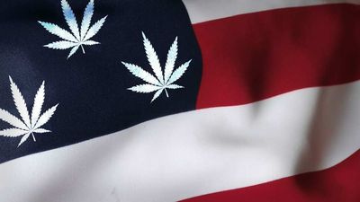 Cannabis News Week: Only Way to Go Is Up; Governor Breaks Promise