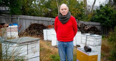 Capital beekeepers ready for spread of deadly mite