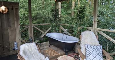 Luxury shepherd's hut outside Glasgow complete with outdoor bath is available on Airbnb