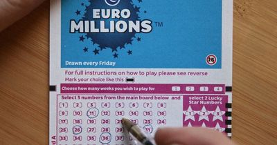 EuroMillions results: Irish player wins life-changing prize in Friday's €196m draw