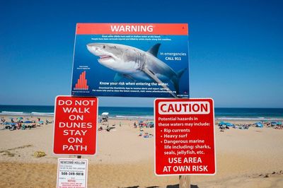 Police say swimmer may have suffered shark bite off Long Island beach