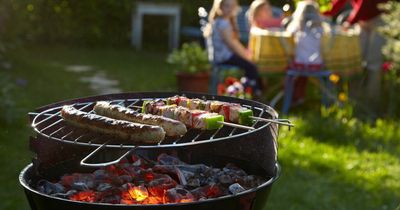 Summer day trippers urged to leave barbecue at home