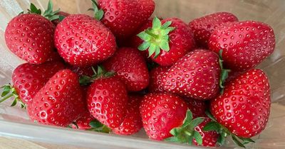 We tried strawberries from Aldi, Sainsbury's and Tesco and the cheapest punnet won