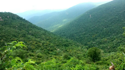 Karnataka forest department’s vehicle service benefits students and patients in Male Mahadeshwara Hills