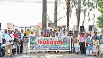 Activists in Dehradun to move SC to prevent tree felling