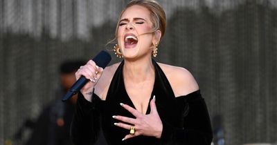 Adele halts London Hyde Park concert and calls for security over concern for audience member