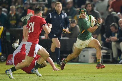 South Africa v Wales LIVE rugby: Result and reaction as Damian Willemse kicks Springboks to last-gasp win