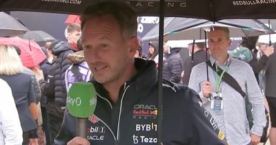 Christian Horner bemoans Charles Leclerc spin as Max Verstappen beaten to British GP pole