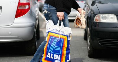 Mum's outrage after finding 'dried-up dead lizard' in bottom of Aldi shopping bag