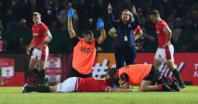 South Africa v Wales match halted for seven minutes amid concerning scenes