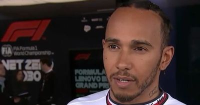 Lewis Hamilton leaps to defend Max Verstappen and tells Silverstone fans to stop booing
