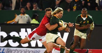Wales suffer agony in Test match for the ages as excruciating turning point sees history slip away