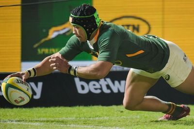 Last-gasp Willemse penalty gives Springboks win over Wales
