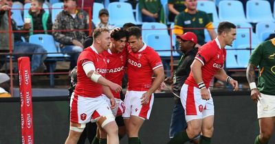 Wales v South Africa player ratings as debutant shines, giant is immense and Faletau oozes class