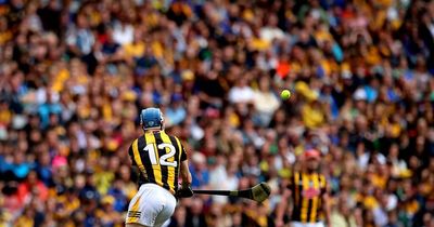 TJ Reid says Kilkenny were waiting in the long grass for Clare ahead of semi-final masterclass