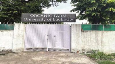 Mini-India meal for National Assessment Accreditation Council team, courtesy Lucknow University students