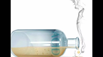 Madhya Pradesh: Minor girl among 2 hurt in acid attack over poll rivalry