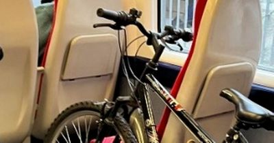Image of bike blocking seats on train divides opinion in heated debate online