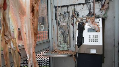 Cobargo's melted phone booth on show as National Museum showcases nature's fury in a striking exhibition