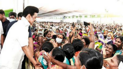 Can't waste time reacting to needless criticism, says Tamil Nadu CM M K Stalin
