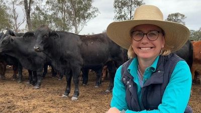 Cattle industry paving the way with key board reaching 50 percent gender representation