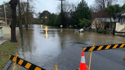 Sydney floods: Where are the NSW flood warnings? What has the Bureau of Meteorology forecast?