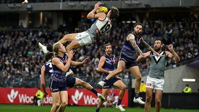 Fremantle hold on against Port Adelaide as Mitch Georgiades, Hayden Young take to the skies