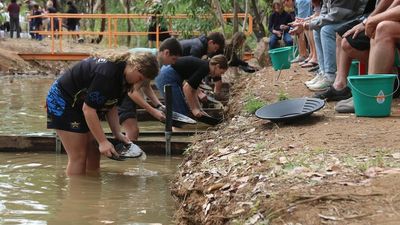 NT Gold Panning Championships in Pine Creek attracts locals and tourists