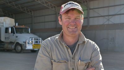 Farm fatalities in WA agriculture push authorities to call for stricter safety measures