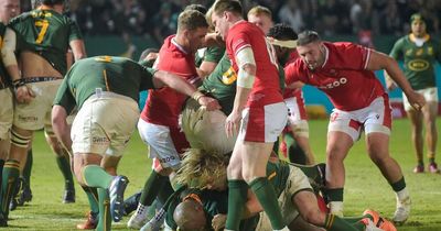 South Africa v Wales winners and losers as Pivac earns respite and personal horror show unfolds