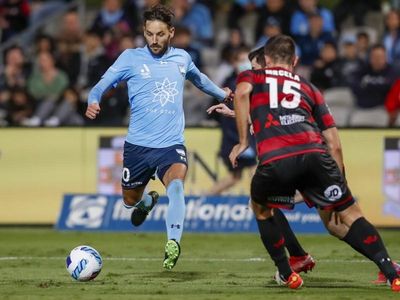 Milos Ninkovic seals Wanderers ALM move