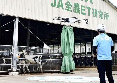 Drone delivers fertilized Wagyu eggs