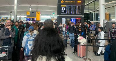 Heathrow chaos as hundreds lose luggage and airlines 'fish passengers out of queues'