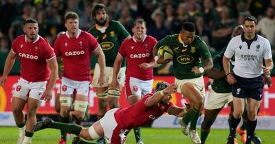 South African media dish out brutal ratings as flop gets 2/10 and Wales player is handed 3.5