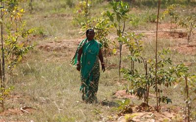 Odisha woman gets a forest in her name