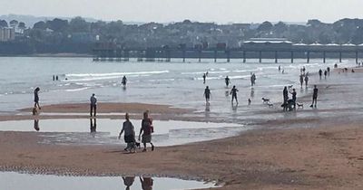 Paignton the 'forgotten' seaside town to become envy of the South Coast