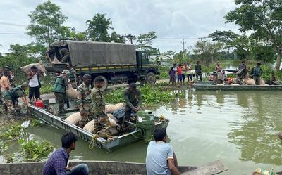Death toll in Assam floods stands at 179