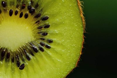 Bay of Plenty could lose kiwifruit crown in warming world