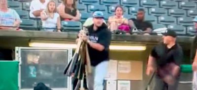 A baseball manager threw 10 bats and drew the strike zone in the dirt during epic tantrum